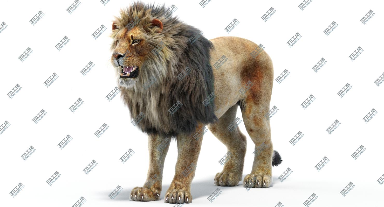 images/goods_img/202104022/Lion 2 (Fur)/3.jpg